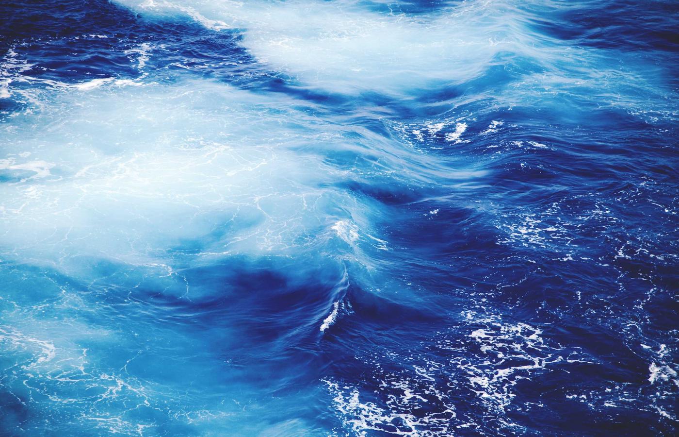 Portretul Elenei Dinu