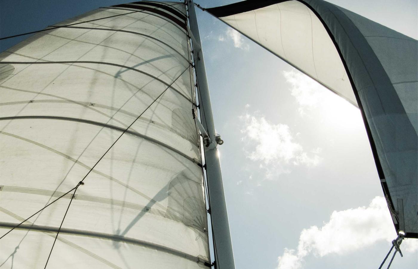 Portretul lui Mihai Ionescu